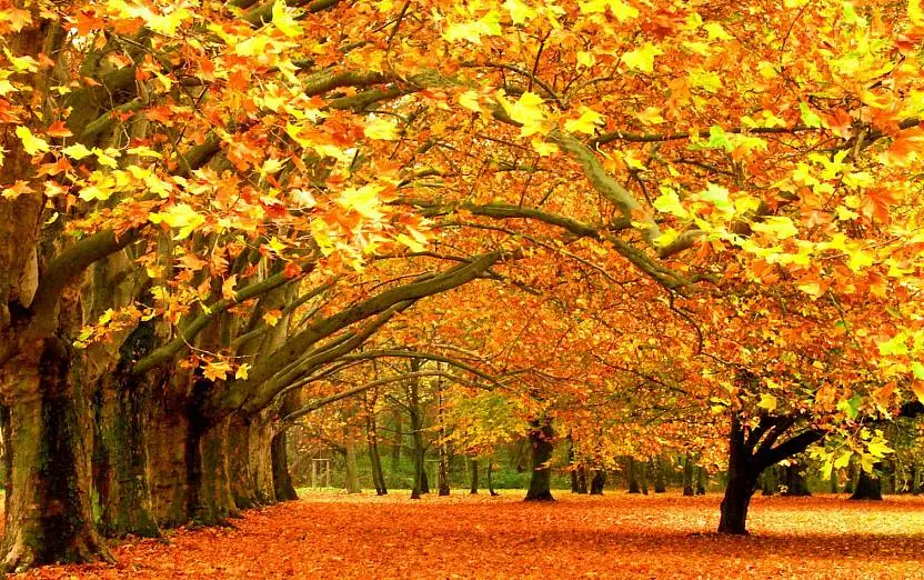 Мастер Времени. Вторая встреча