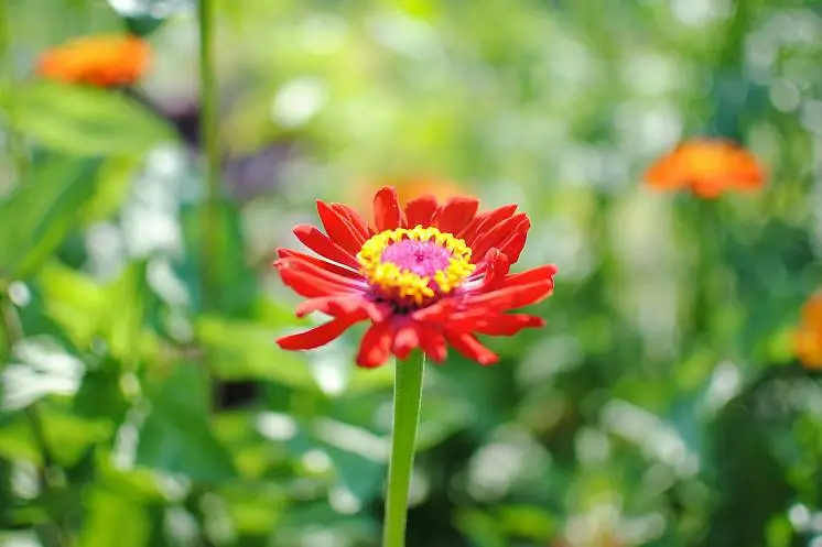 Андреева Екатерина