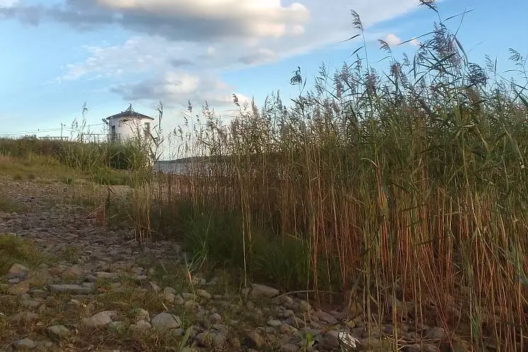 Заморенова Ольга