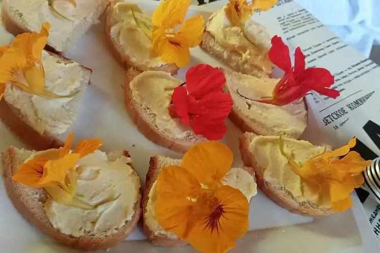 Правдина Наталья