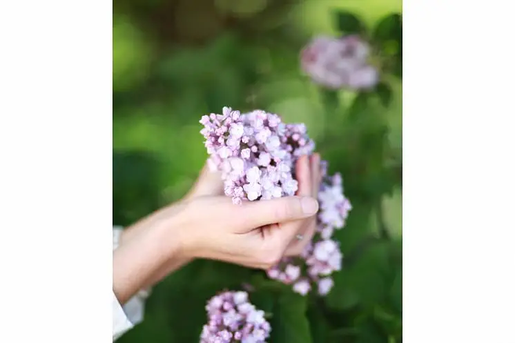 Узюмова Наталья