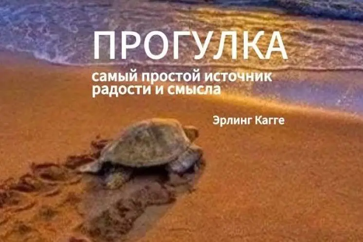 Владимирская Инна