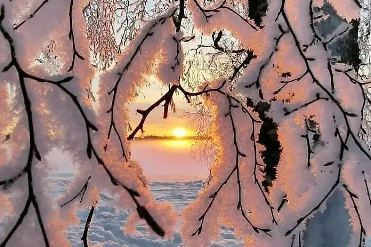 Попова  Зинаида 