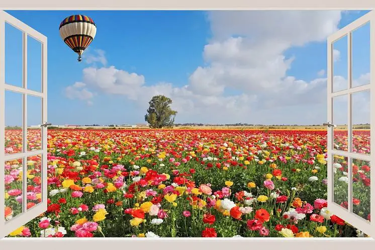 Романенко Юлия