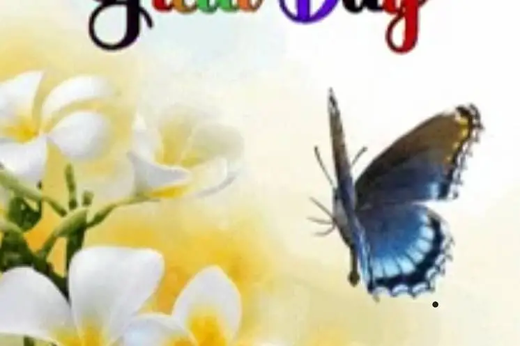 Мартыненка  Светлана 