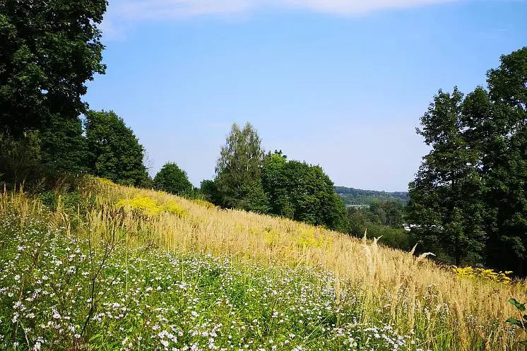 Попова Елена