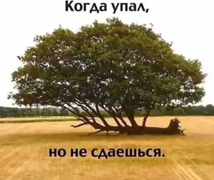 Встреча №6