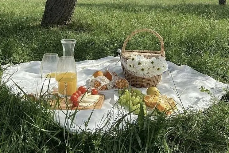 Куркай  Наталья