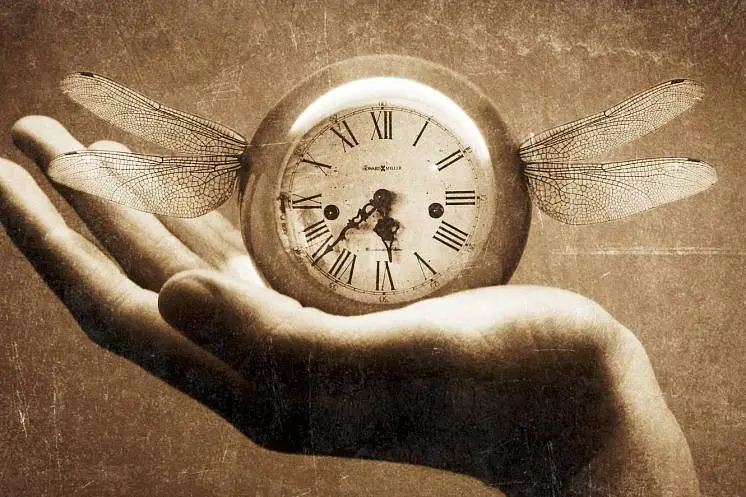 Елена Амахина