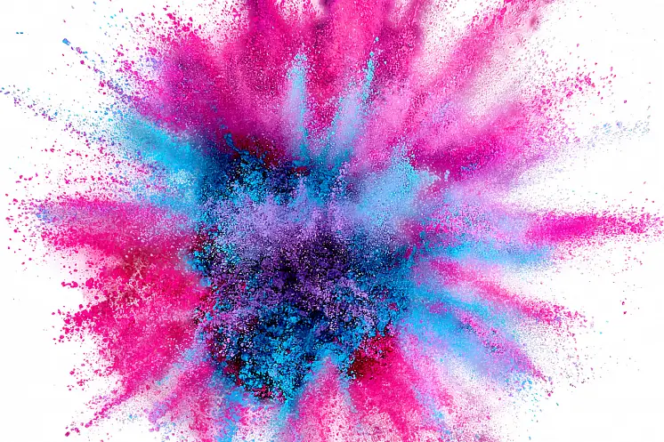 Каминская Анастасия