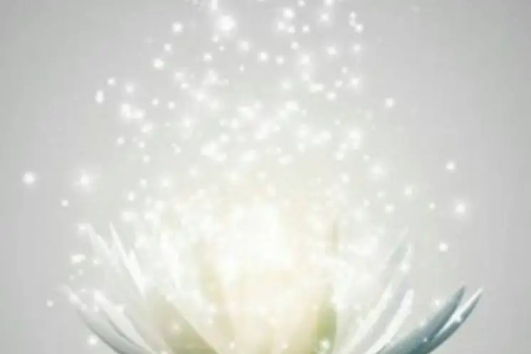 Алферова Светлана